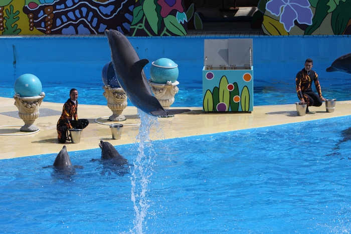 Marineland - Dauphins - 030